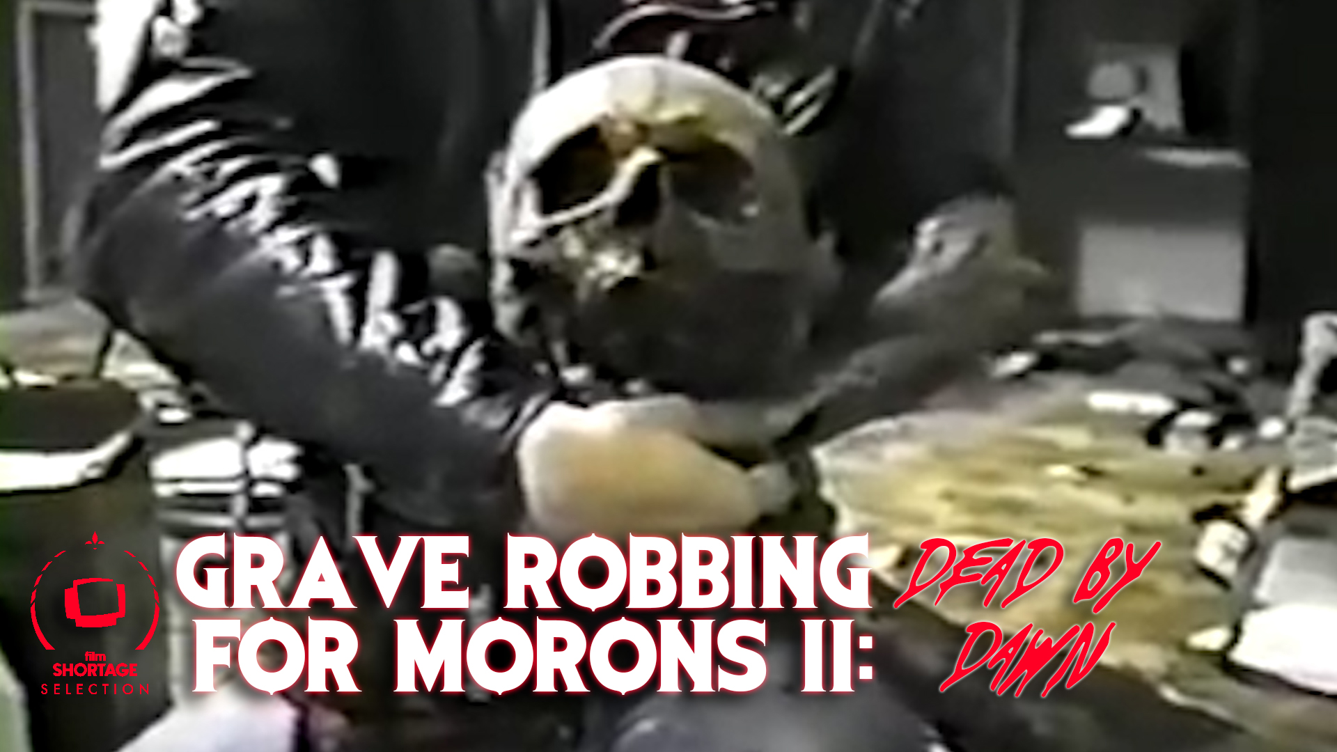 Grave Robbing for Morons II: Dead by Dawn